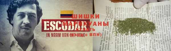 дживик Сафоново
