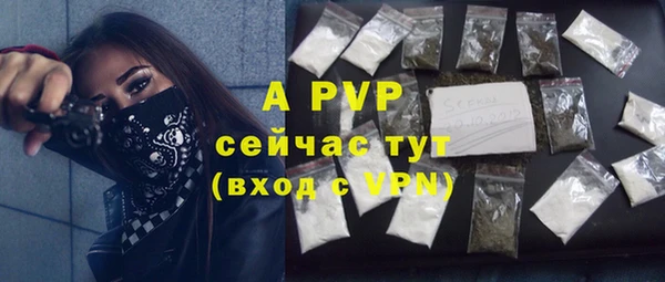 ПСИЛОЦИБИНОВЫЕ ГРИБЫ Сатка