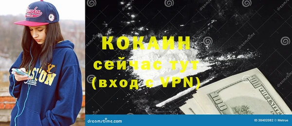 ПСИЛОЦИБИНОВЫЕ ГРИБЫ Сатка